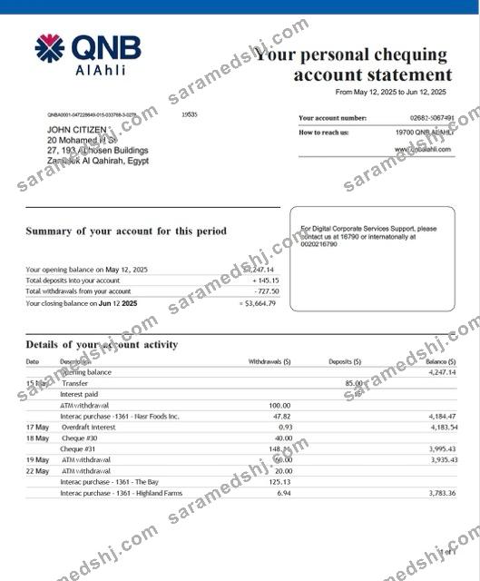 Qatar QNB Alahli Bank account statement Word and PDF template